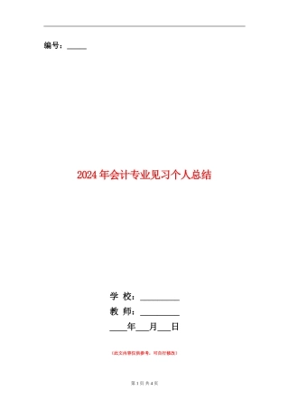 2024年会计专业见习个人总结