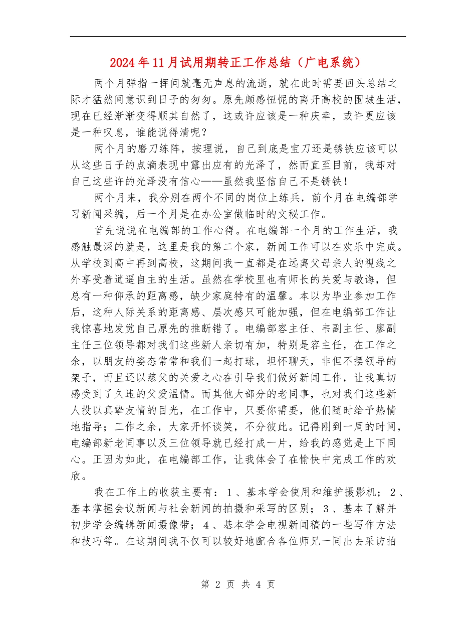 2024年11月试用期转正工作总结.doc_第2页