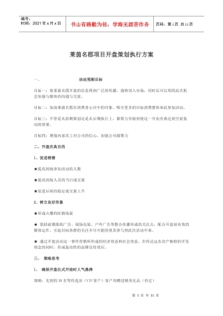 莱茵名郡项目开盘策划执行方案