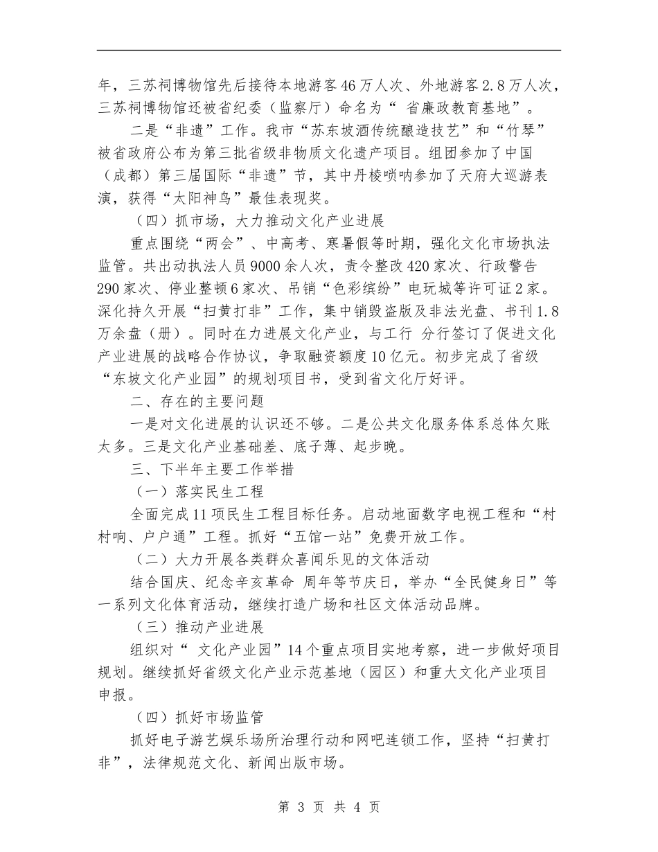 文体新局文化发展半年总结_第3页