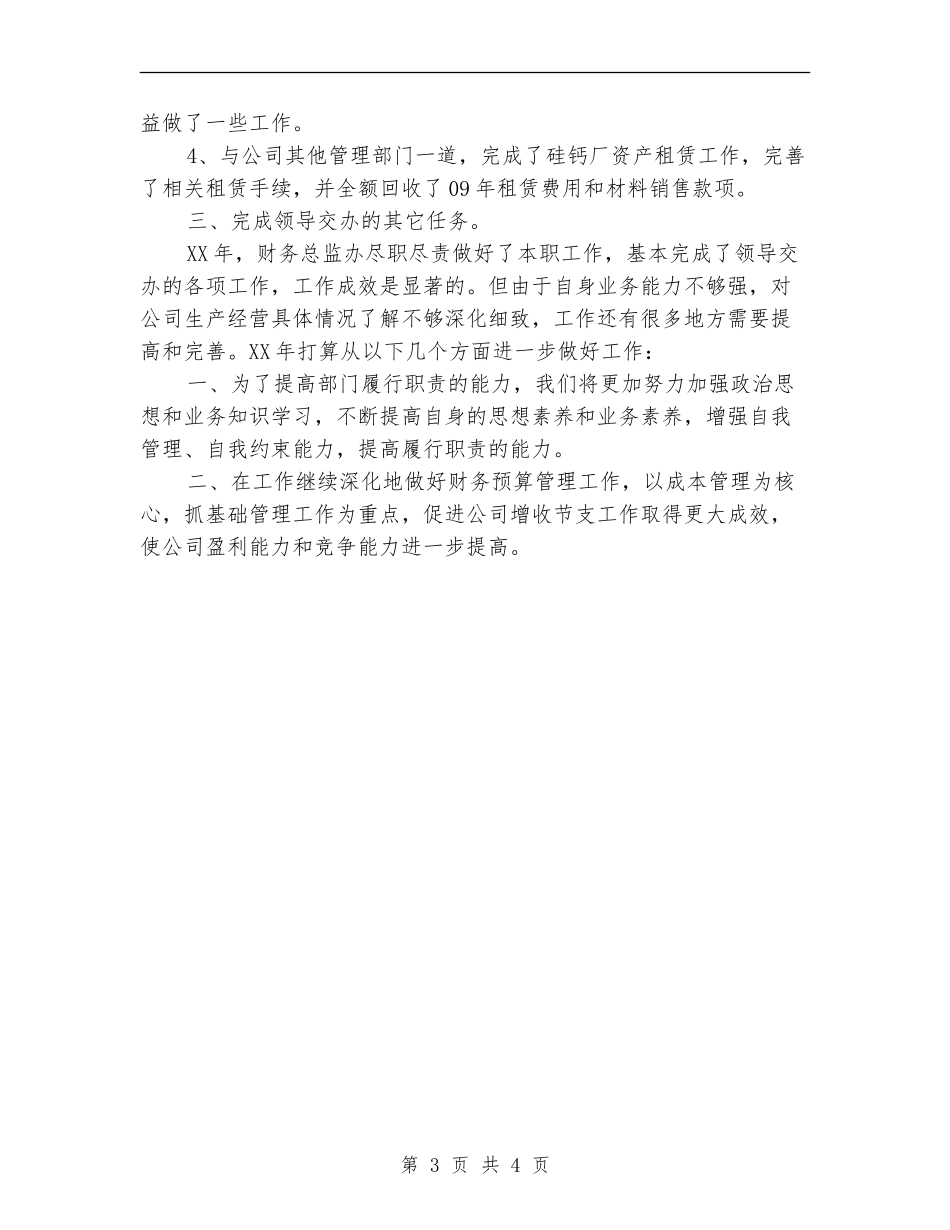 2024年财务总监办工作总结_第3页