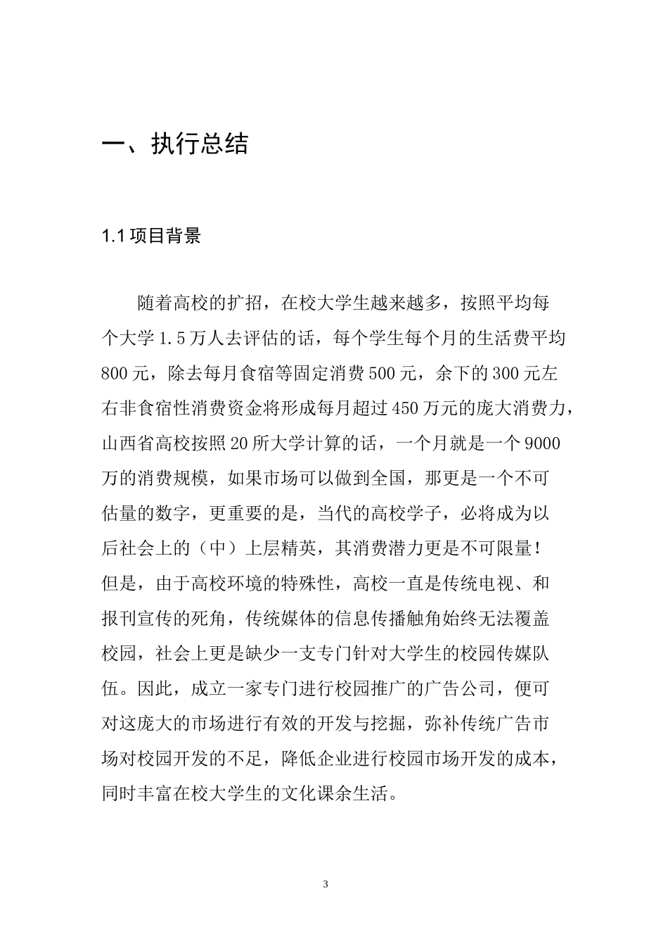 蓝洋春文化传媒有限公司创业计划书4_第3页