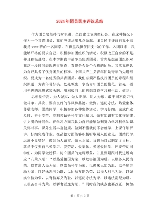 2024年团员民主评议总结