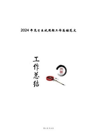 2024年见习生试用期工作总结范文