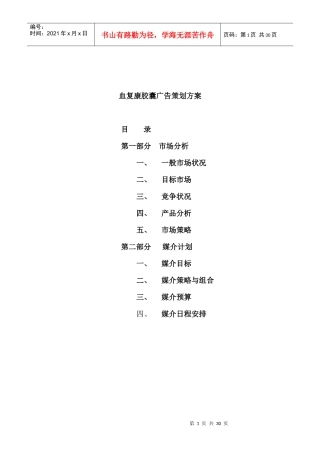 血复康胶囊广告策划方案