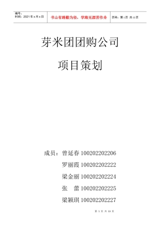 芽米团团购战略发展