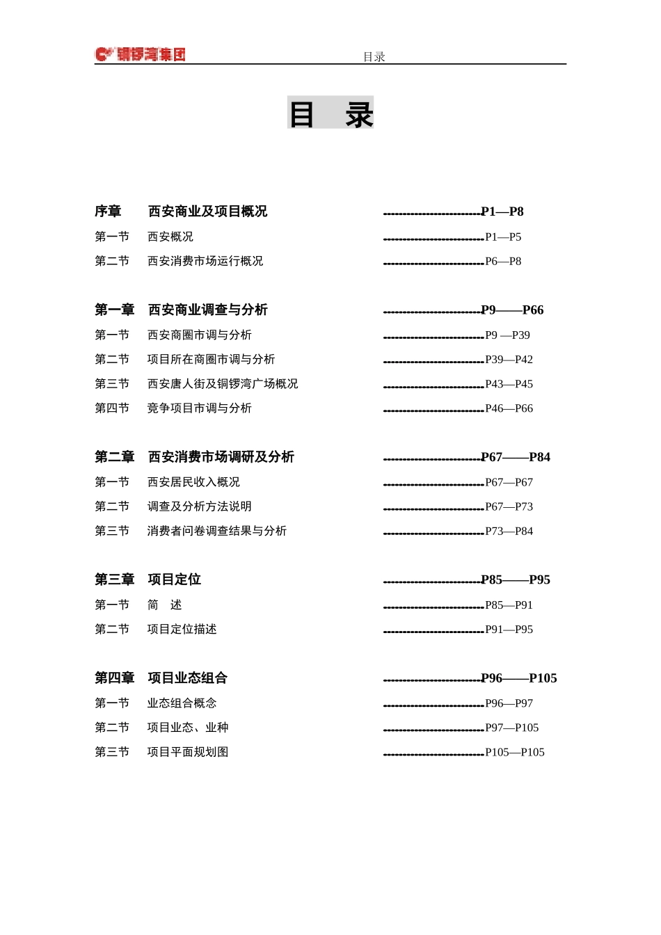 西安唐人街铜锣湾广场项目定位规划建议书_87页_第3页