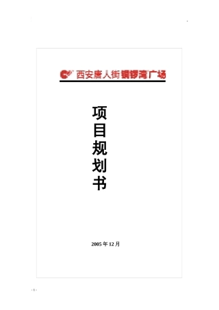 西安唐人街铜锣湾广场项目定位规划建议书_87页