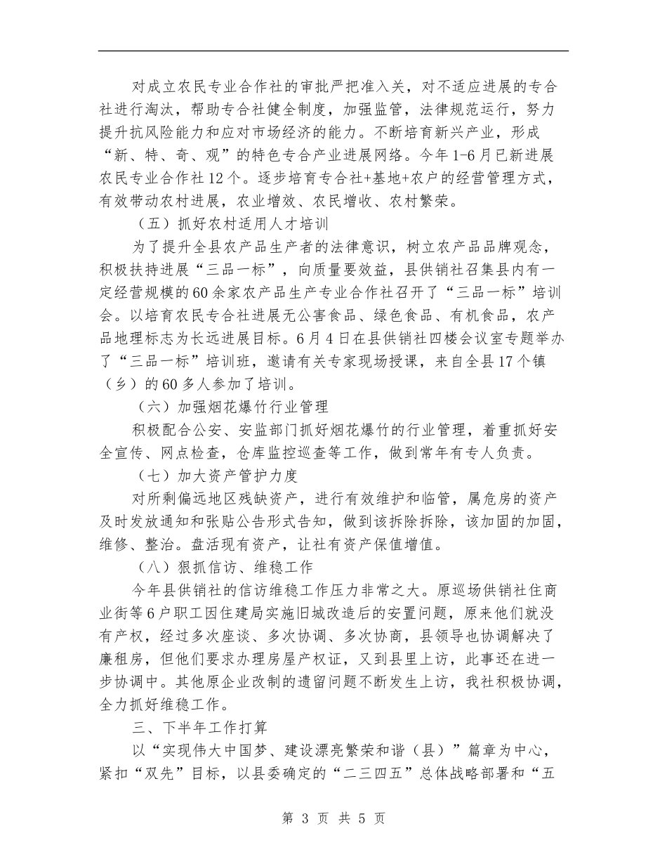 县供销联合社2024年上年工作总结_第3页