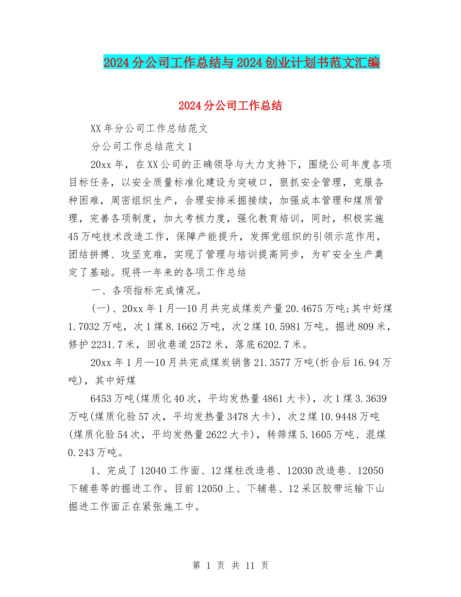 2024分公司工作总结与2024创业计划书范文汇编_第1页