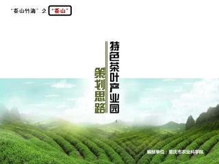 茶产业园策划(PDF38页)