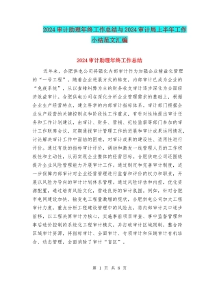 2024审计助理年终工作总结与2024审计局上半年工作小结范文汇编