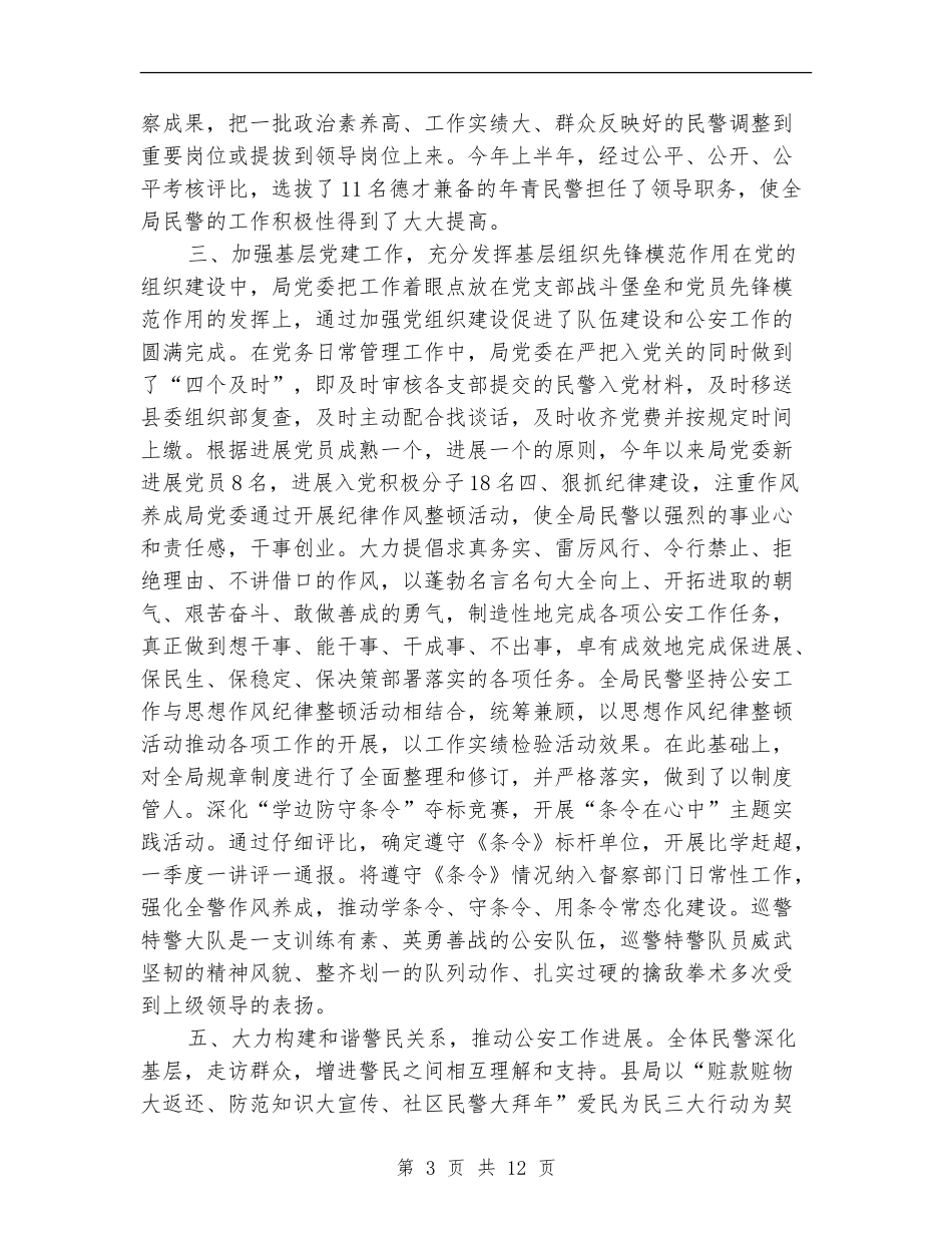 公安局2024上半年工作总结_第3页