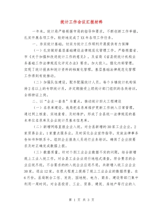 统计工作会议汇报材料