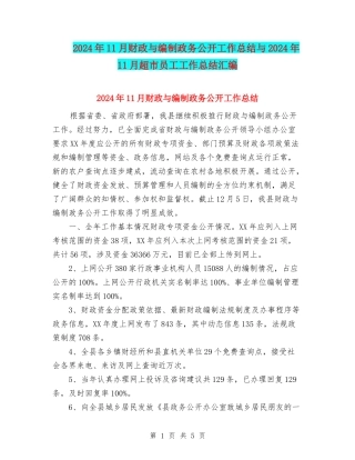 2024年11月财政与编制政务公开工作总结与2024年11月超市员工工作总结汇编