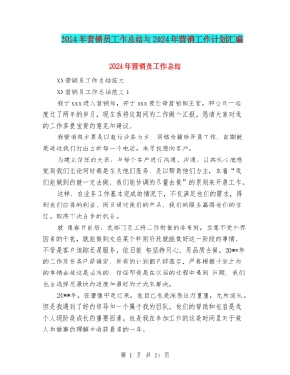 2024年营销员工作总结与2024年营销工作计划汇编