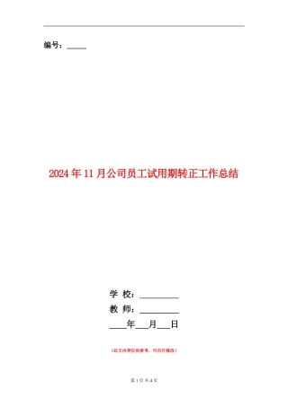 2024年11月公司员工试用期转正工作总结