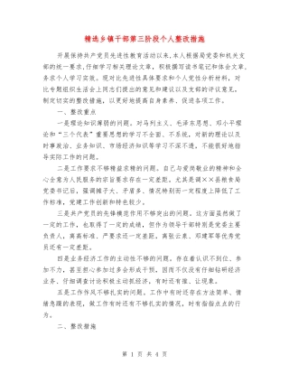 乡镇干部第三阶段个人整改措施