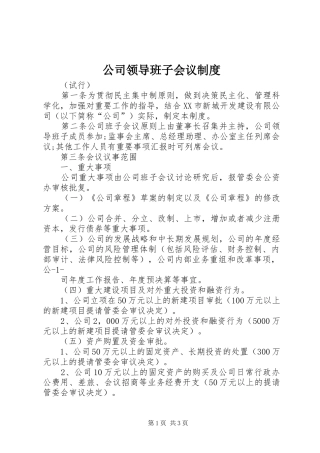 公司领导班子会议规章制度