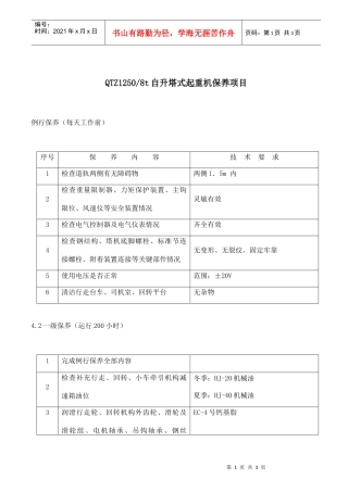自升塔式起重机保养项目