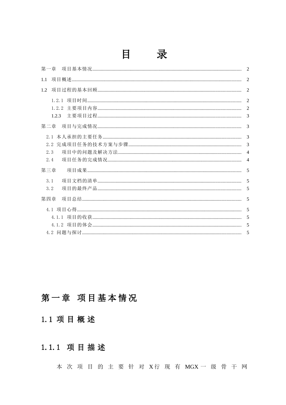 网络工程项目总结报告_第2页