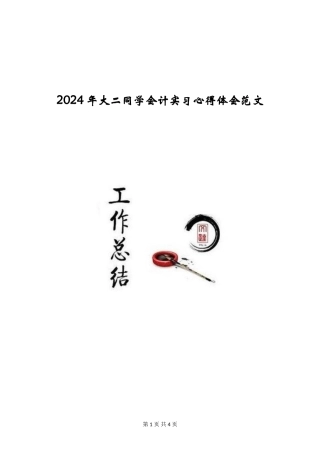 2024年大二学生会计实习心得体会范文