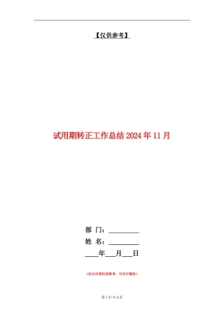 试用期转正工作总结2024年11月