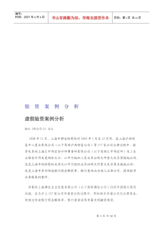 虚假验资案例解析