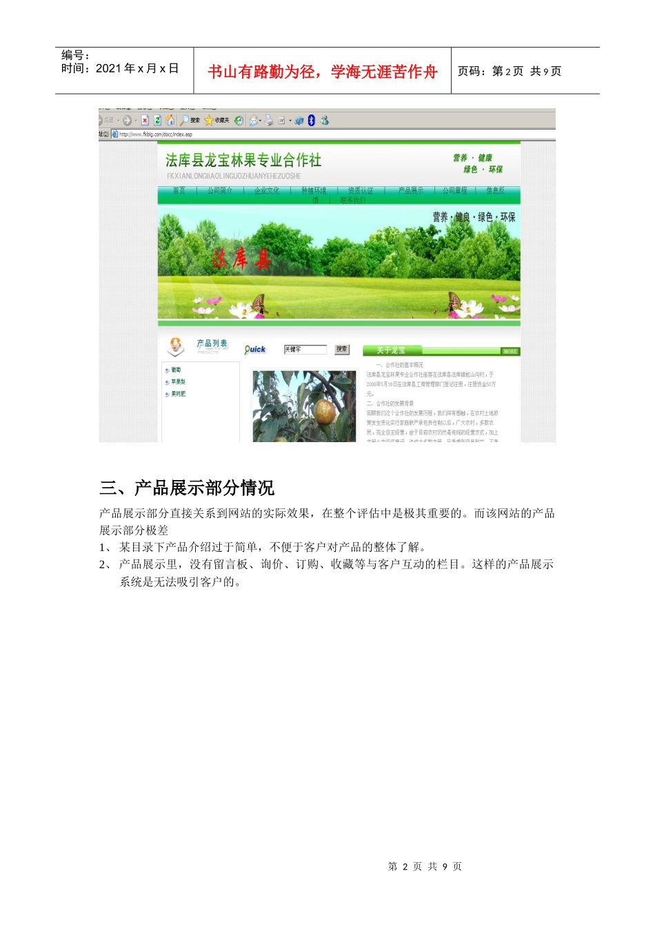 网站诊断分析报告样本_第2页