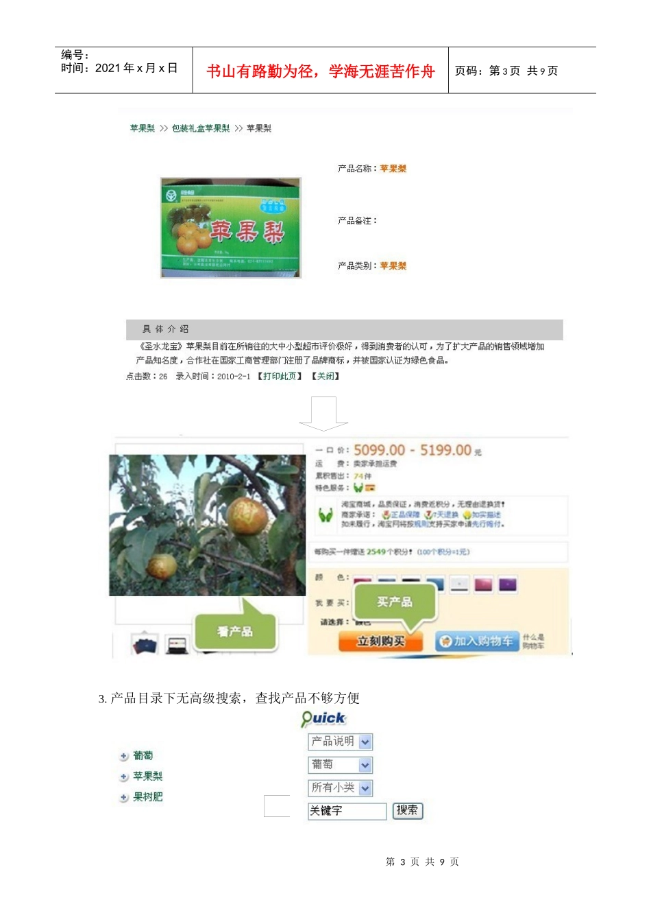 网站诊断分析报告样本_第3页