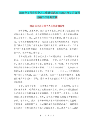 2024年2月公司个人工作计划范文与2024年2月公司出纳工作计划汇编