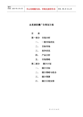 血复康胶囊的广告策划方案