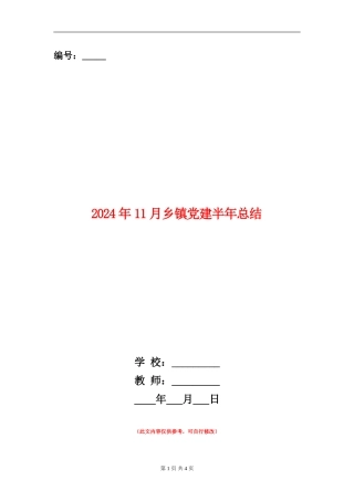 2024年11月乡镇党建半年总结