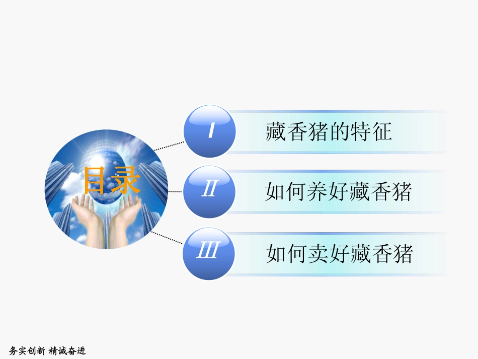 藏香猪的饲养管理和品牌建设(PDF61页)_第2页