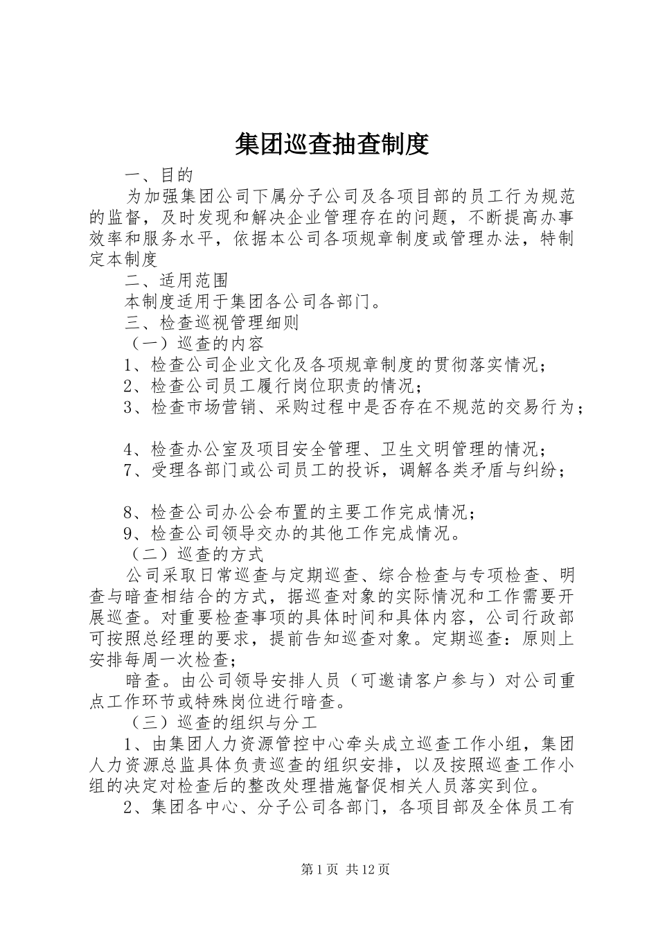 集团巡查抽查规章制度_第1页