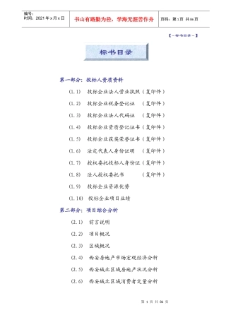 西安西兰兴中路项目提案83页