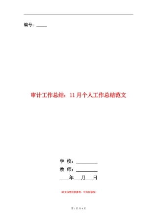 审计工作总结：11月个人工作总结范文
