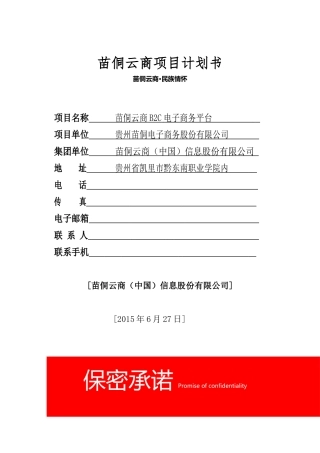 苗侗云商项目计划书