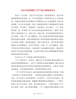 2024年如何践行三严三实心得体会范文