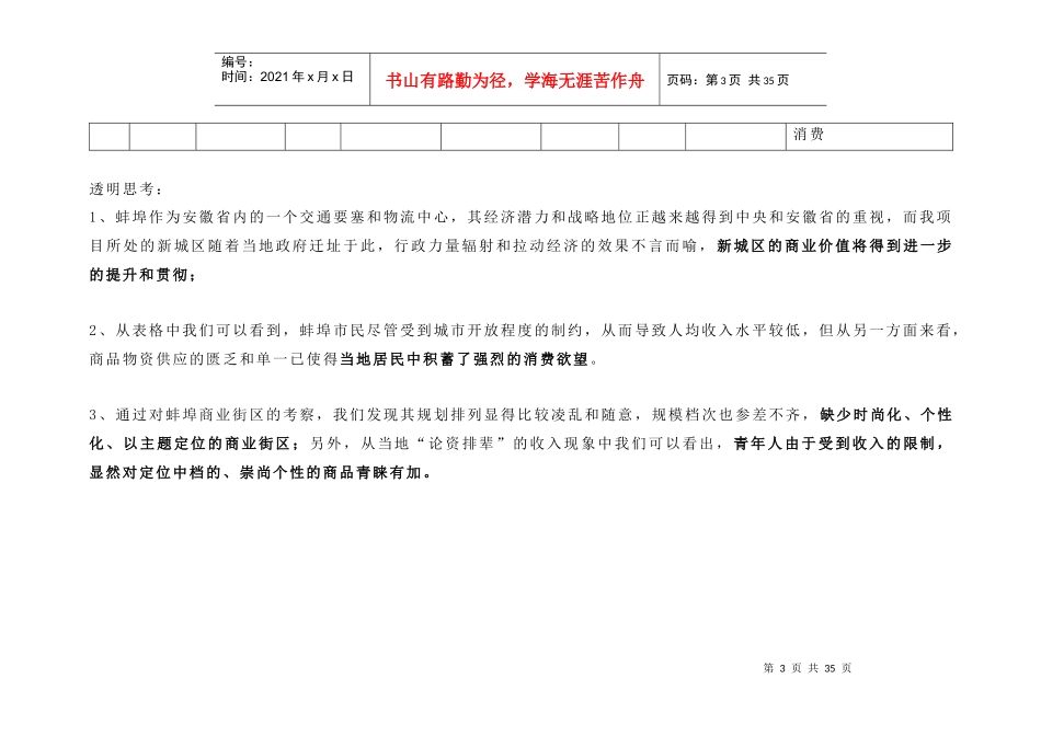 蚌埠商业街项目策划总案（DOC35页）_第3页