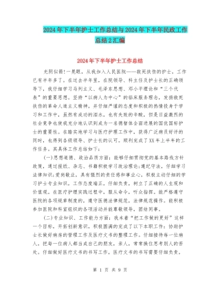 2024年下半年护士工作总结与2024年下半年民政工作总结2汇编