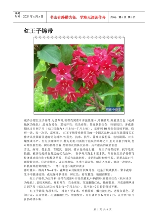 花卉相关资料汇总
