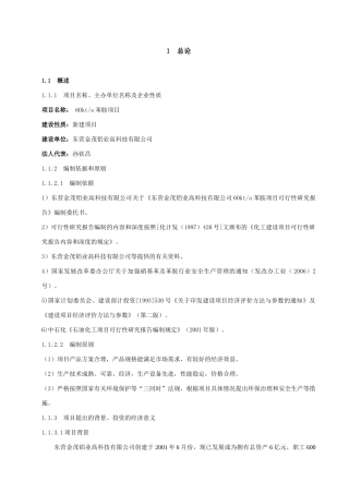 苯胺可行性研究报告