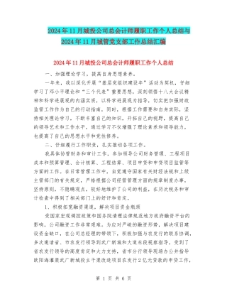 2024年11月城投公司总会计师履职工作个人总结与2024年11月城管党支部工作总结汇编