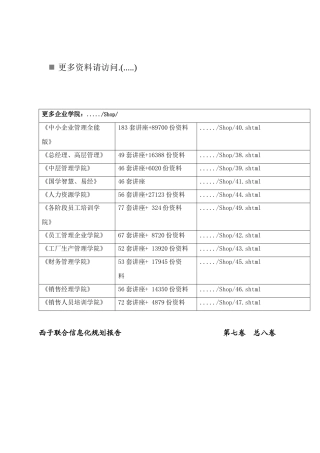 西子集团IT治理规划报告