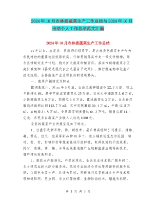 2024年10月农林委蔬菜生产工作总结与2024年10月出纳个人工作总结范文汇编