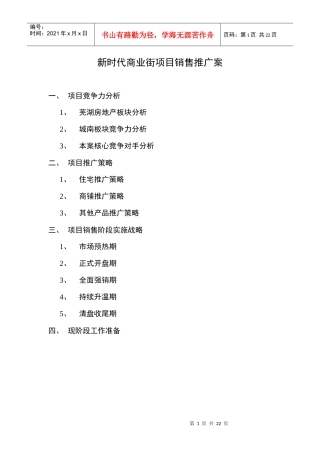 芜湖马塘区杨毛埂地块新时代商业街项目销售推广案