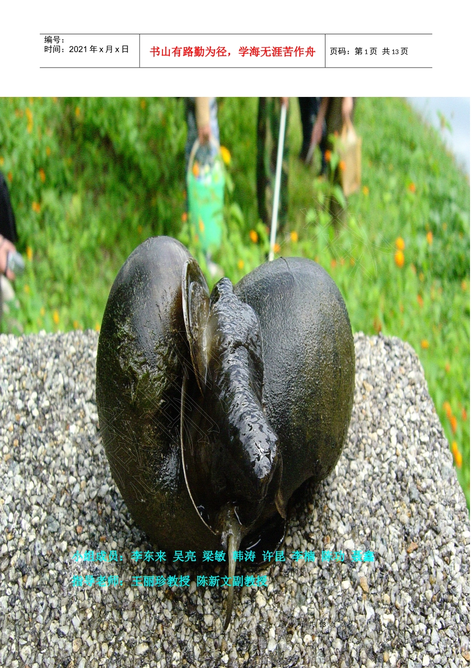 西双版纳软体动物实习调查报告书_第1页