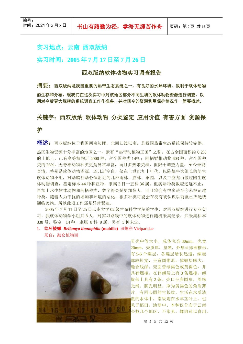 西双版纳软体动物实习调查报告书_第2页