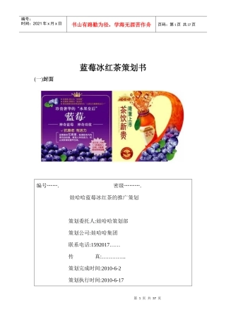 蓝莓冰红茶策划书